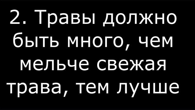 АКТИВНАЯ МУЛЬЧА КАК ПОВЫСИТЬ ПЛОДОРОДИЕ