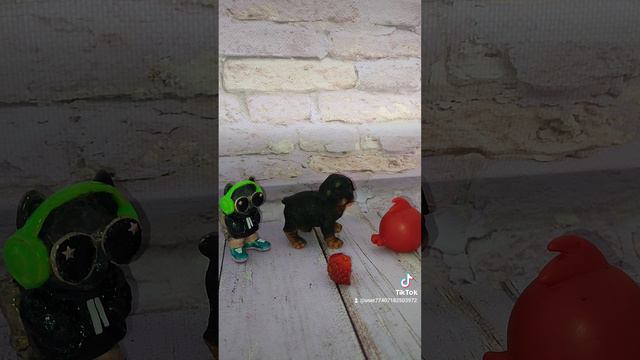 развлечения