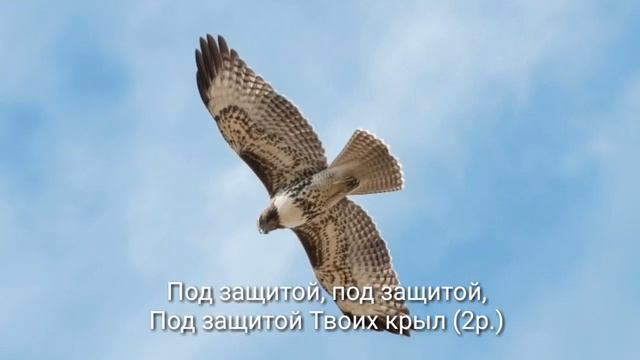 Буду жить под защитой Твоих крыл - христианская песня ( караоке ) Песня Жизни Christian music