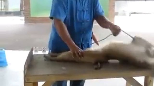 спорт