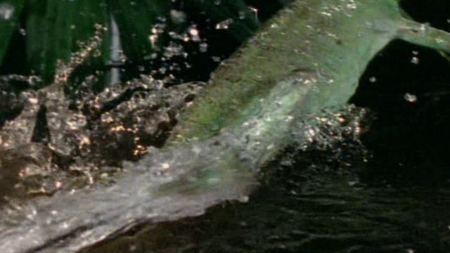 BBC: Приключения капли воды (документальный фильм, 2003)