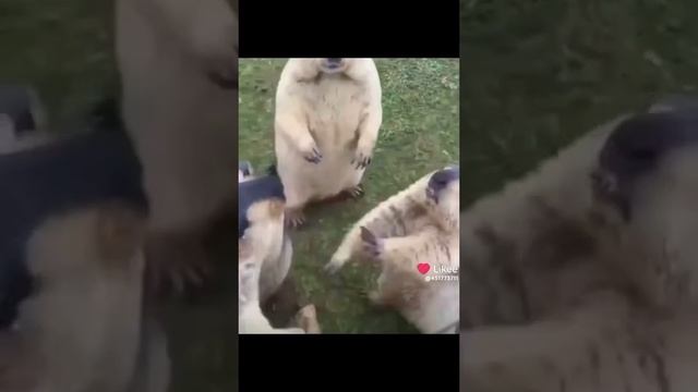 люди