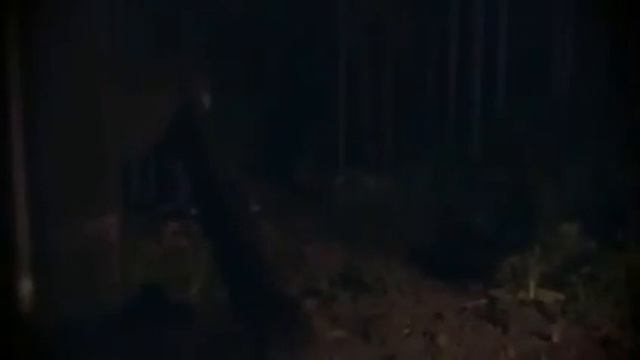 Долина Сасквоча Ужасы, Триллер, смотреть фильмы