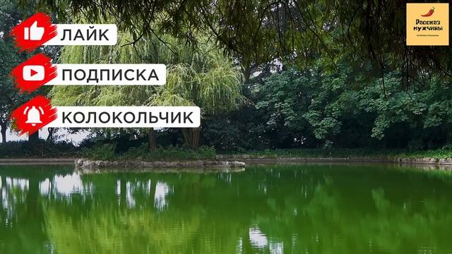 Рассказ мужчины | Измена жены. Любовник, суд и развод. Красивая месть мужа. Реальная история