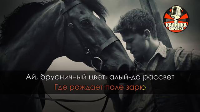 ЛЮБЭ - Конь (Караоке)