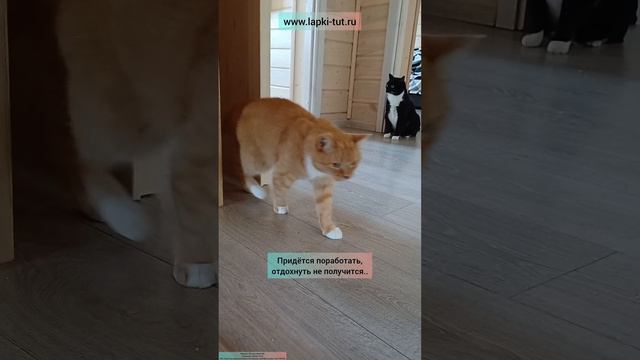 обучение
