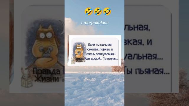 развлечения