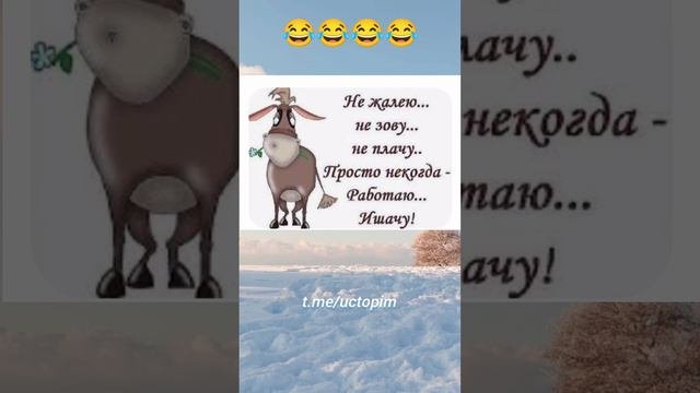 Развлечения
