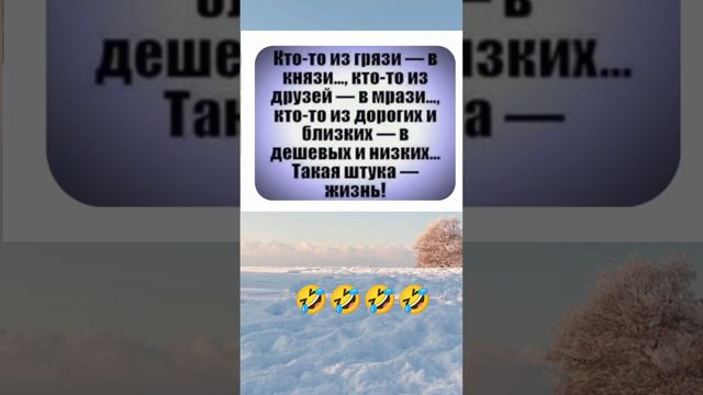 Развлечения