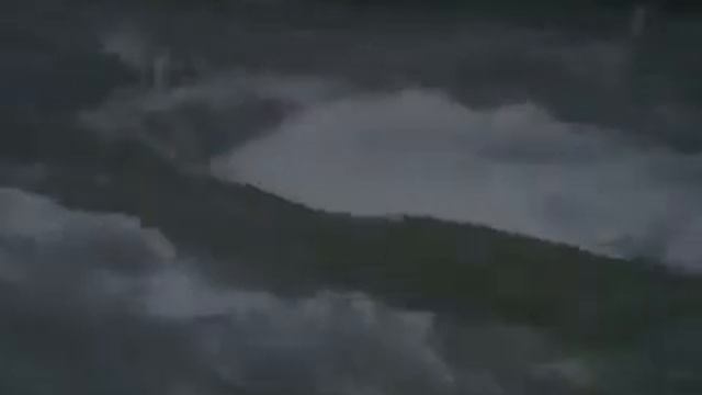 Волчья кровь. Русские боевики