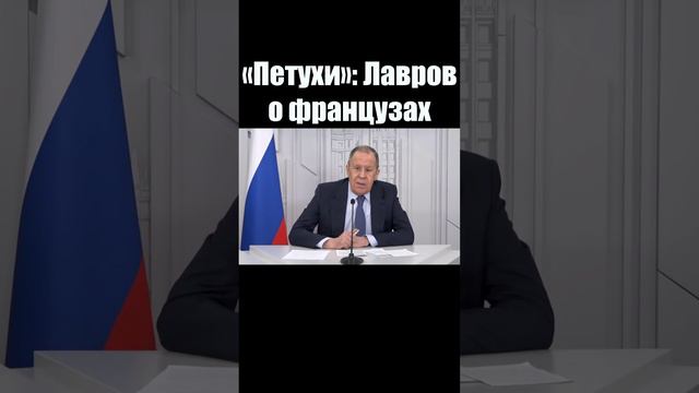 🤣 Петухи! Лавров высмеял французских политиков