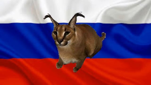 песня польская корова