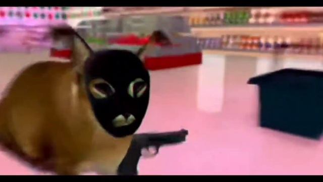 Шлёпа ограбление Пятёрочки