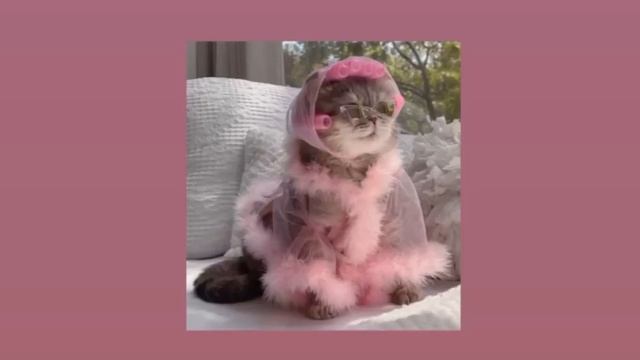 ✨песни для уборки и для танцев✨
