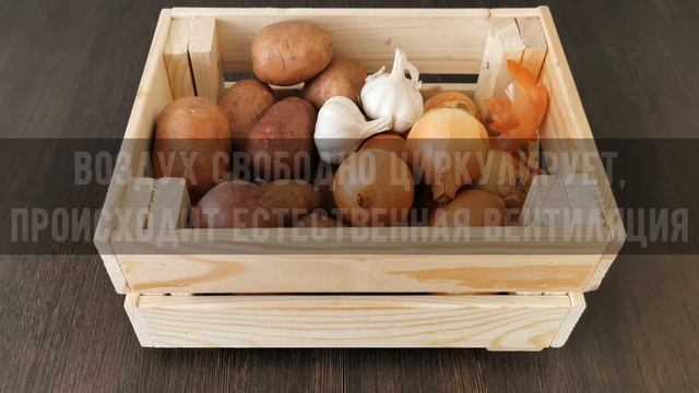 Как хранить дома картошку, лук и чеснок? Секреты хранения корнеплодов в квартире.
