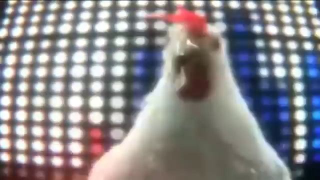 Смешная музыка куриц :)