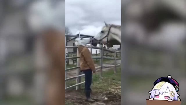 РЖАКА ДО СЛЕЗ 😂 30 Минут смеха