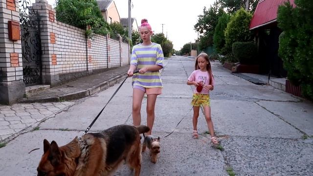 Каждая вредная младшая сестра такая! Вайны DiLi Play