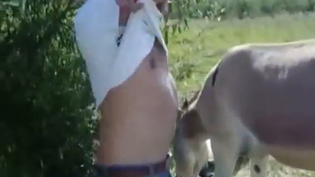 Как осел делает.....