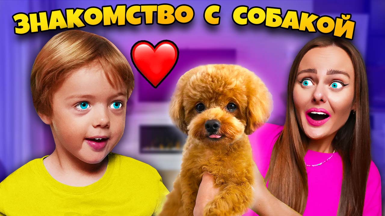 СОБАКА ЗНАКОМИТСЯ С МОИМ СЫНОМ! Подписчики управляют нашей собакой