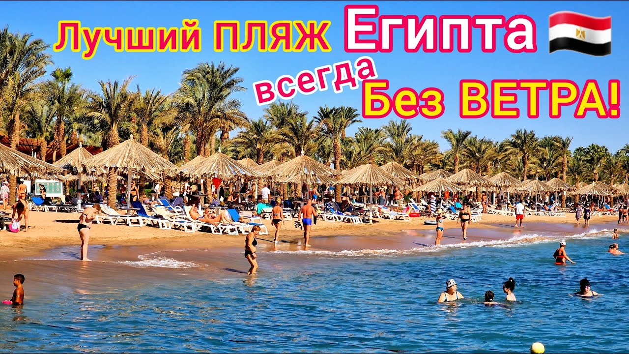 ЛУЧШИЙ пляж в Египте. Мы в ШОКЕ! Пляж отеля Sharm Dreams Resort 5*, бухта Наама Бей, Шарм эль Шейх