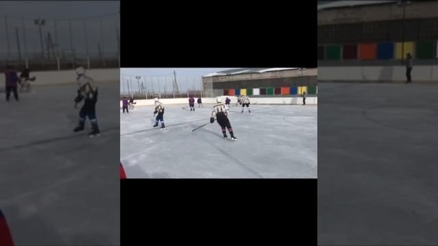 Спорт