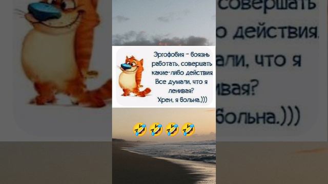 Развлечения