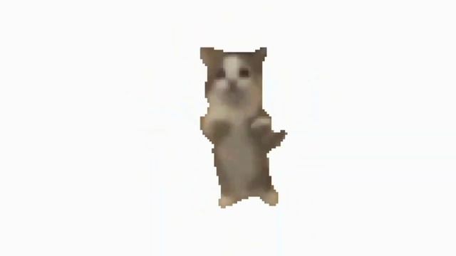 кот танцует под весёлую музыку 1 час!!!
