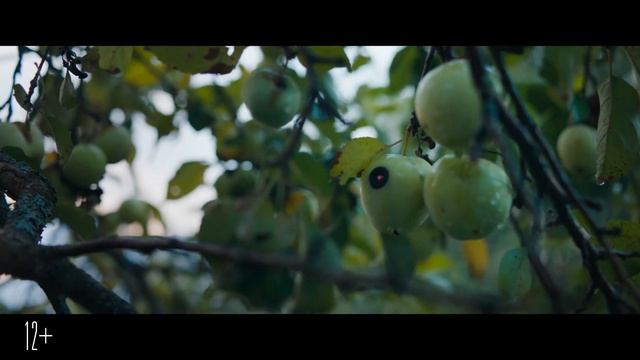 Холоп |2019| Смотреть Онлайн |(Официальный дубляж, 4K ULTRA HD) Трейлер, Фильм, Кино