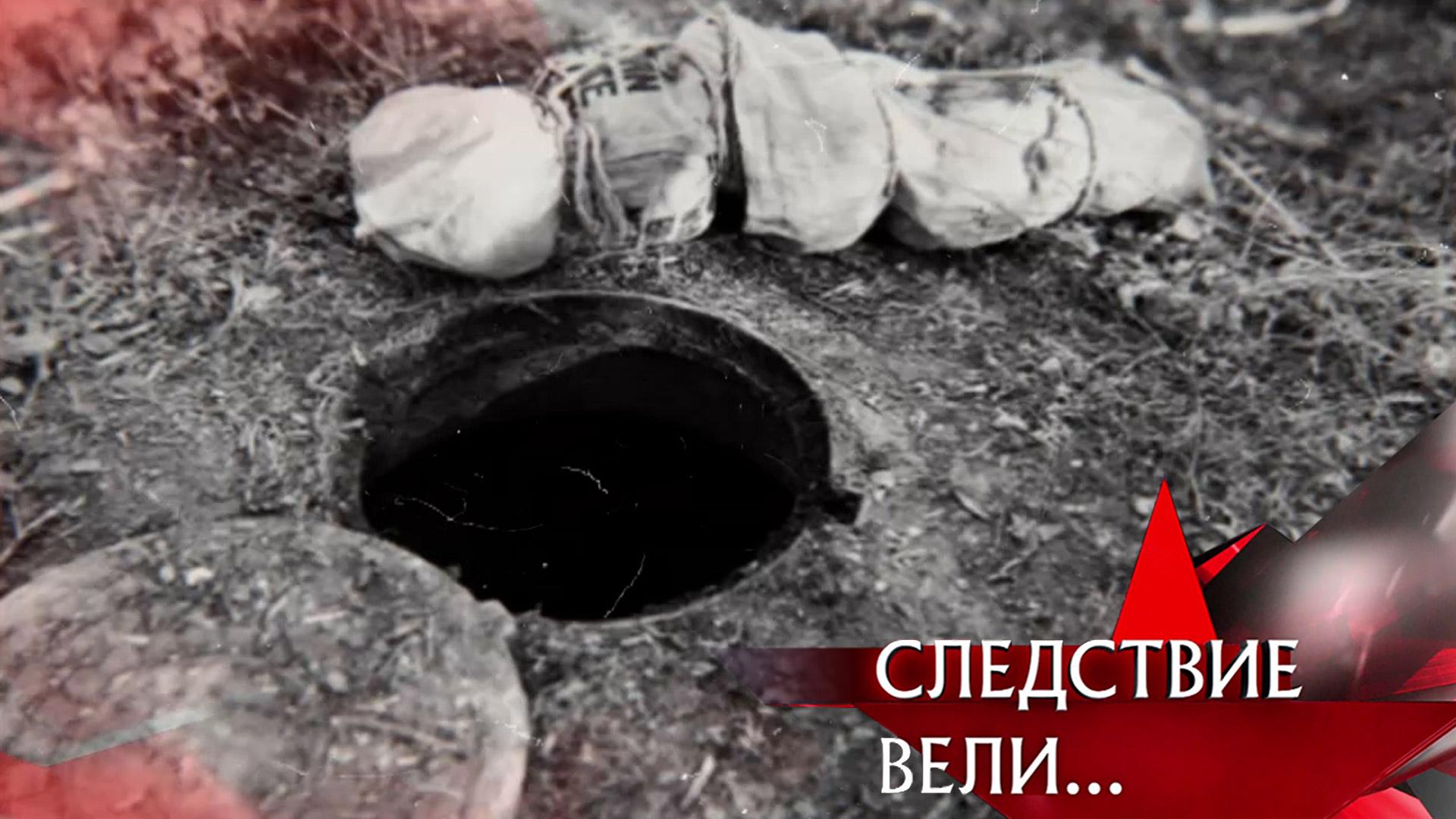 «Убитая мечта» | Фильм из цикла «Следствие вели…» с Леонидом Каневским