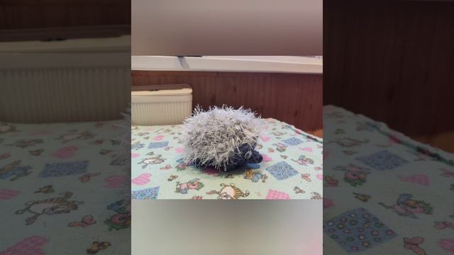 мое хобби