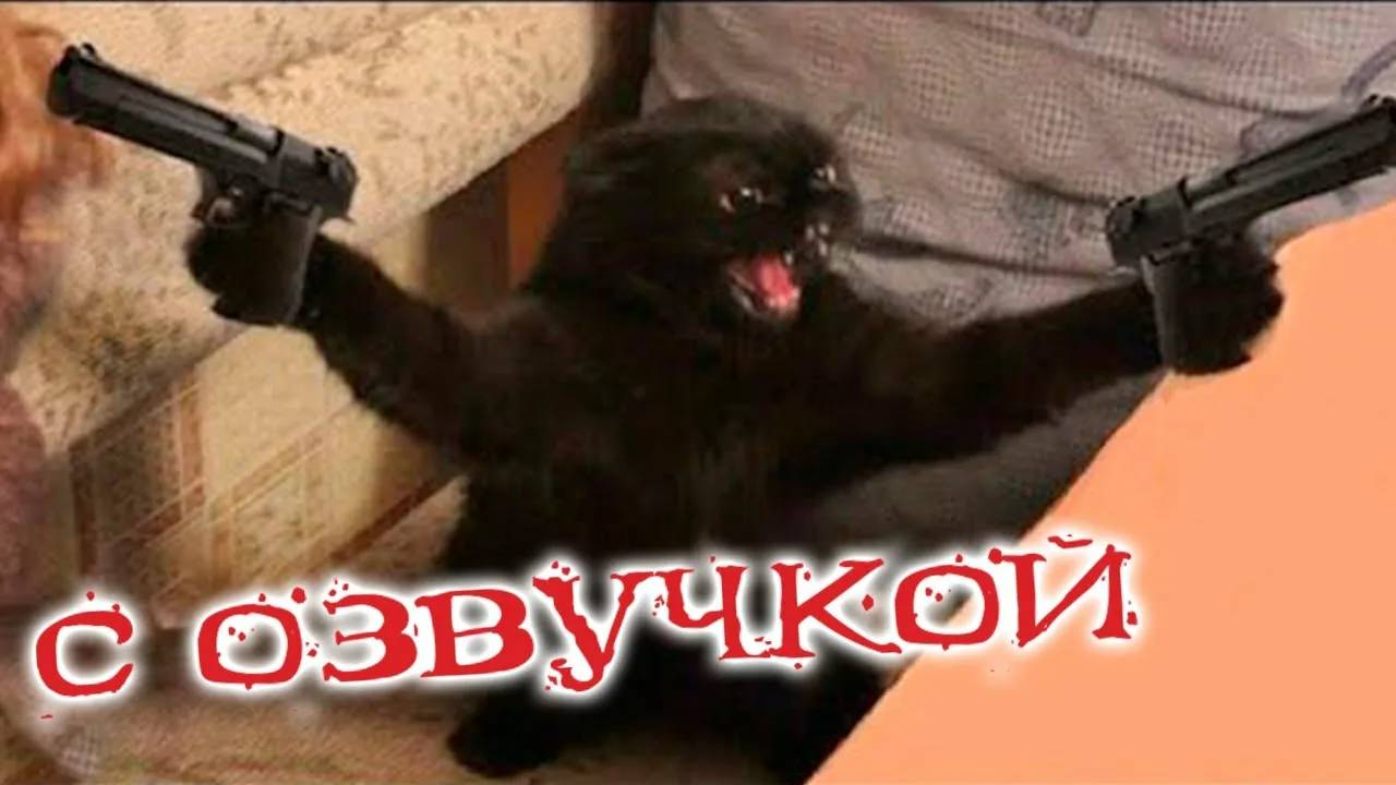 ПРИКОЛЫ С КОТАМИ - С ОЗВУЧКОЙ - Самые Смешные Животные - Смешное видео с котами!
