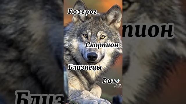 люди