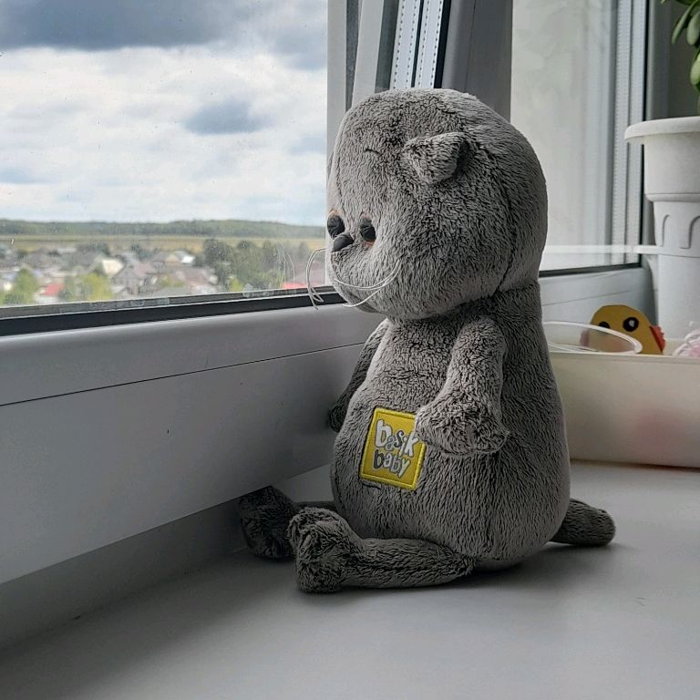 Басик мишаня