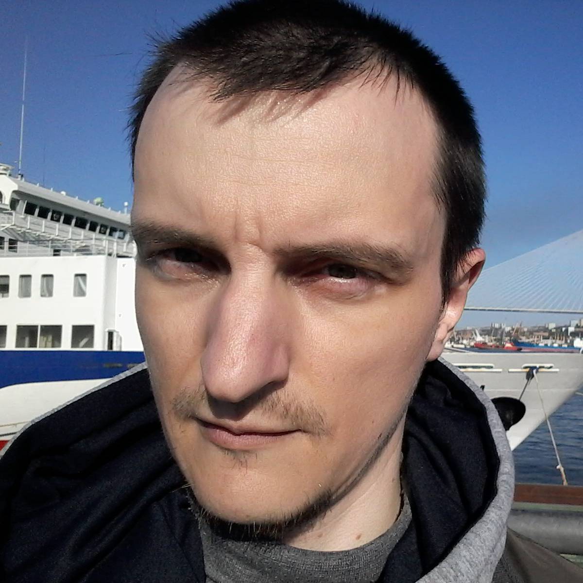 Владимир Каменев