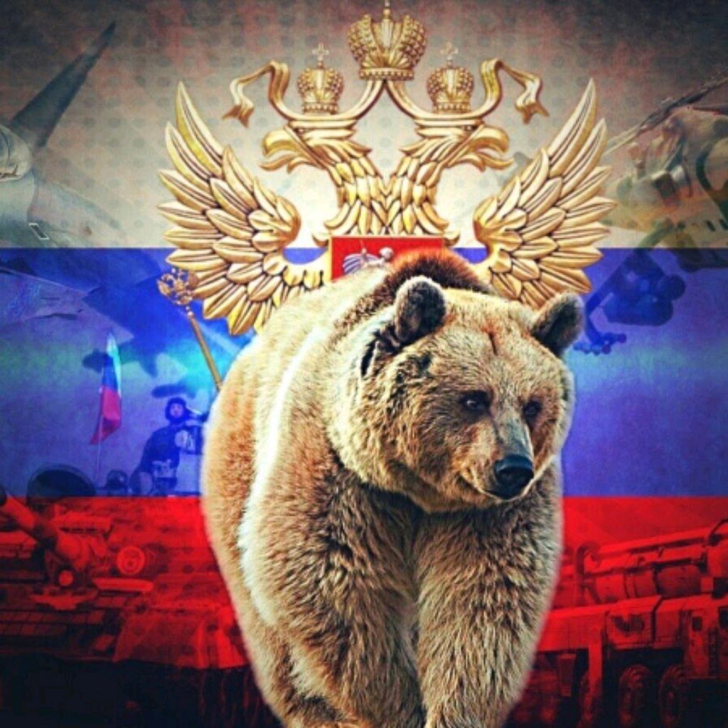 Россия Медведь