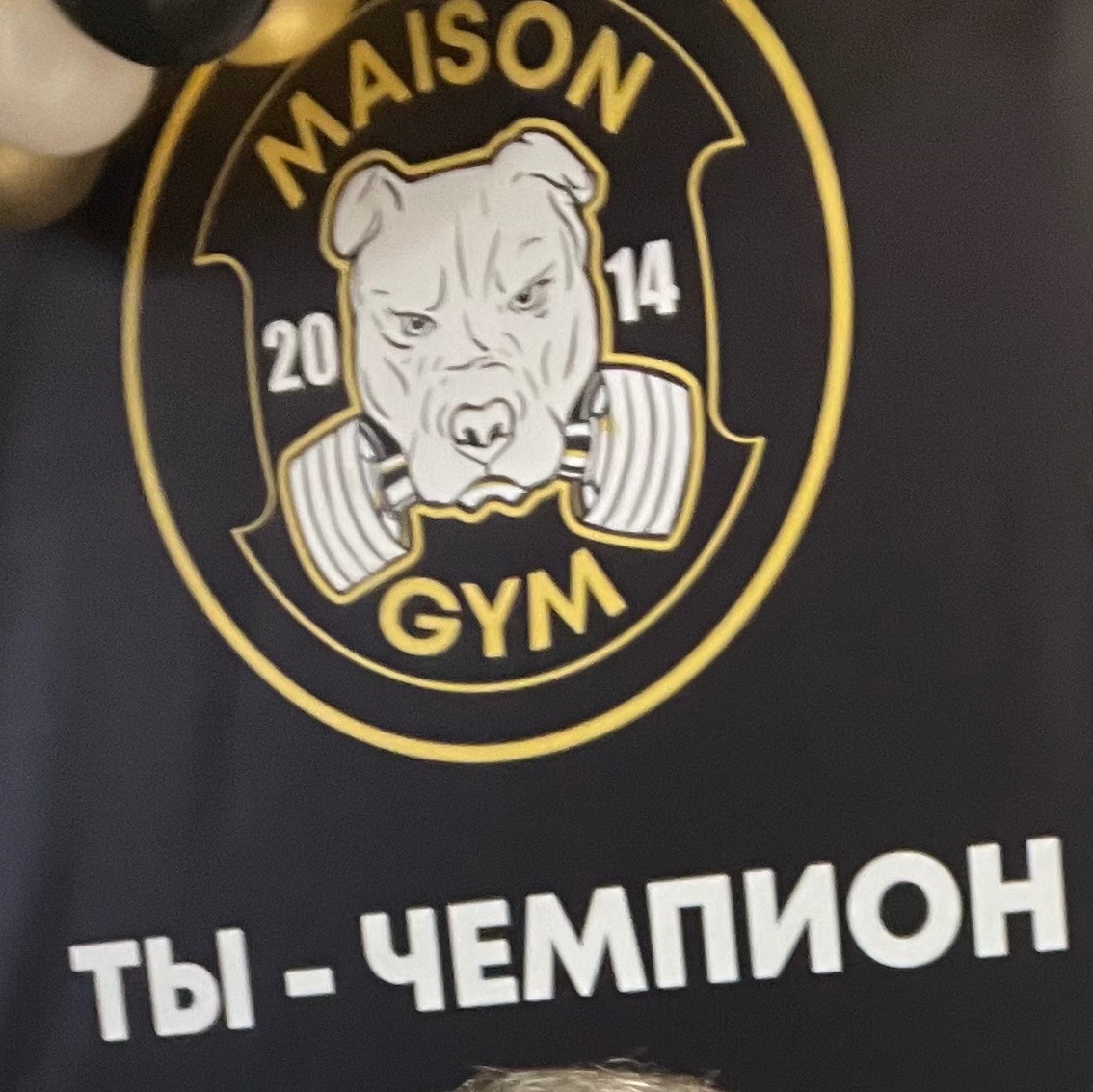 Sport live in fitness club Maison Gym