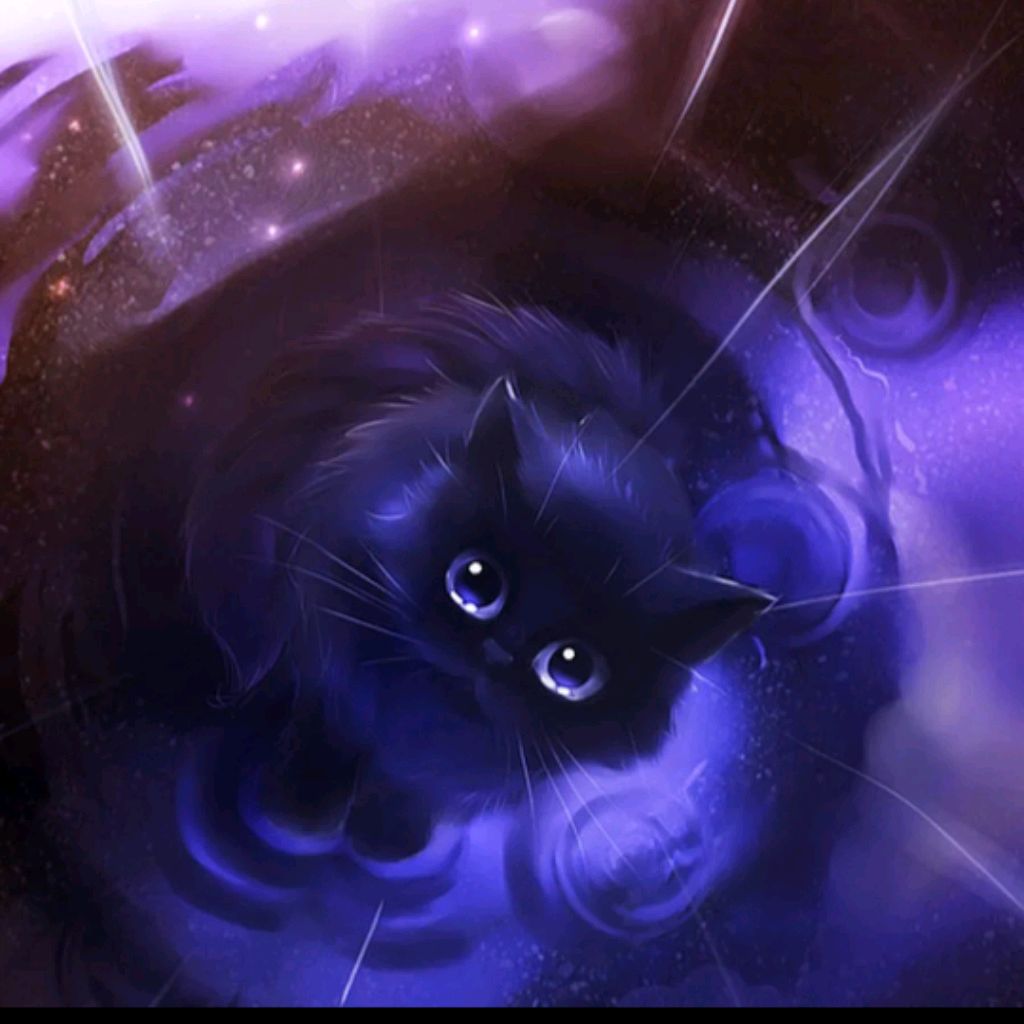 White_Cat_366