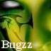 Bugzz