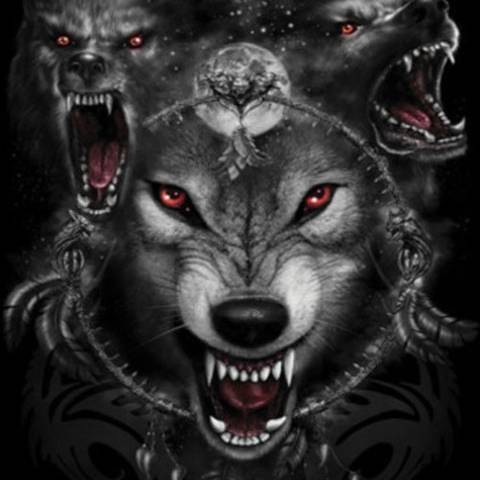 DarkWolf