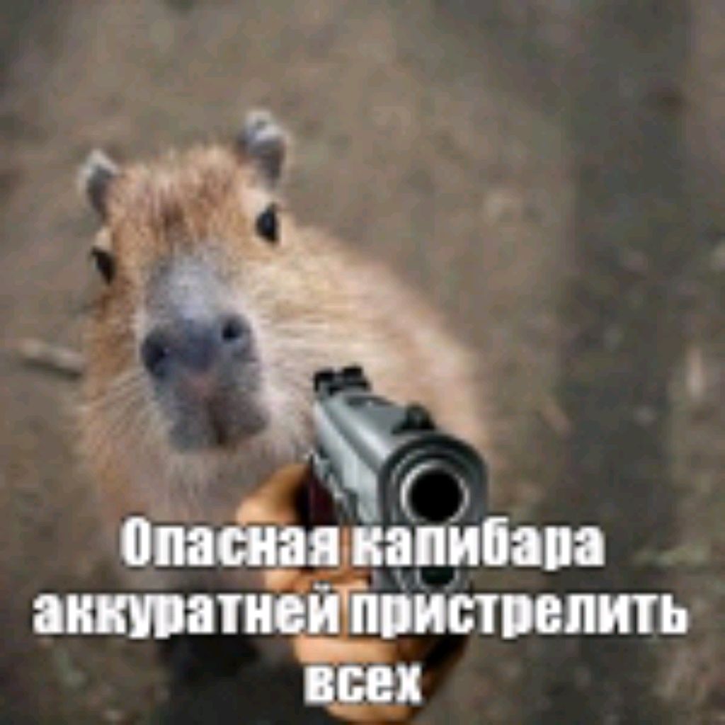 Капибара