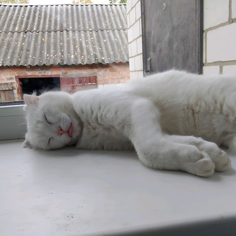Камилла 💗