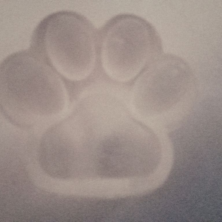 Та ба лапка🐾🐾🐾🐾🐾