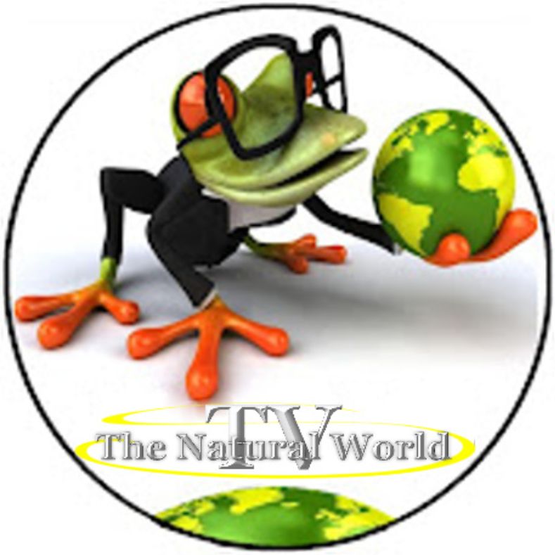 Мир Природы ...  💞💞💞...     "Natural World"