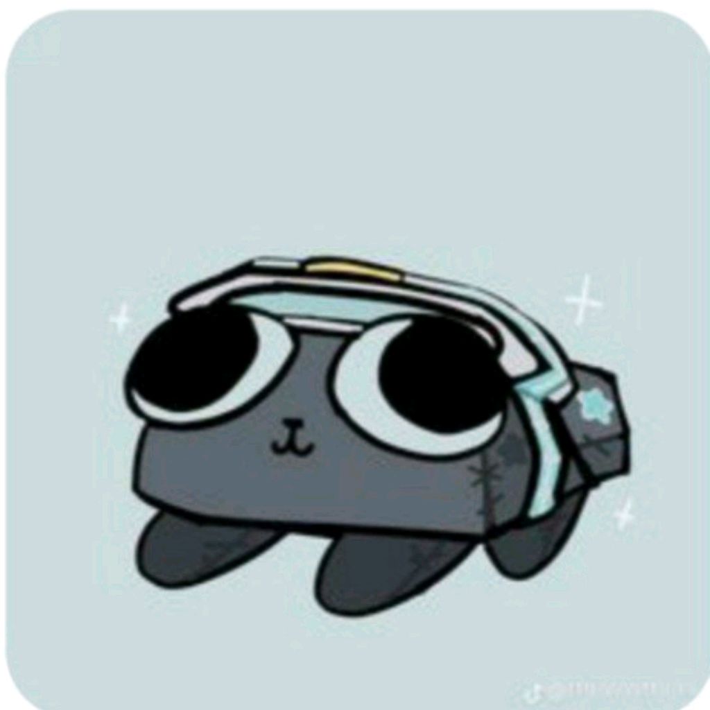 🧽💤Pebble 💤🧽