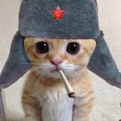 НеZVаныйКОТ