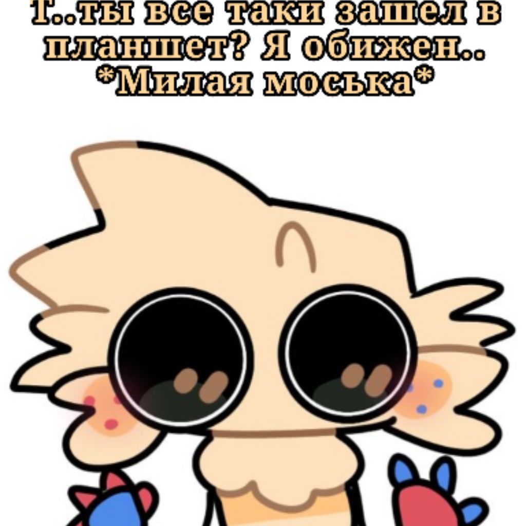 🇰🇷✪Котяра✪🇰🇷