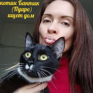 Кошкин приют Светланы Хабиевой Петербург