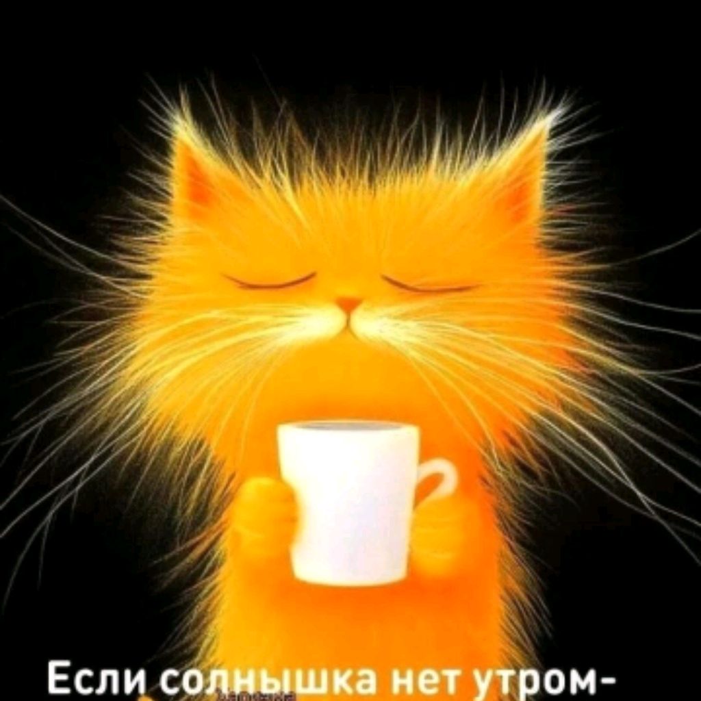 Шрифт не найден