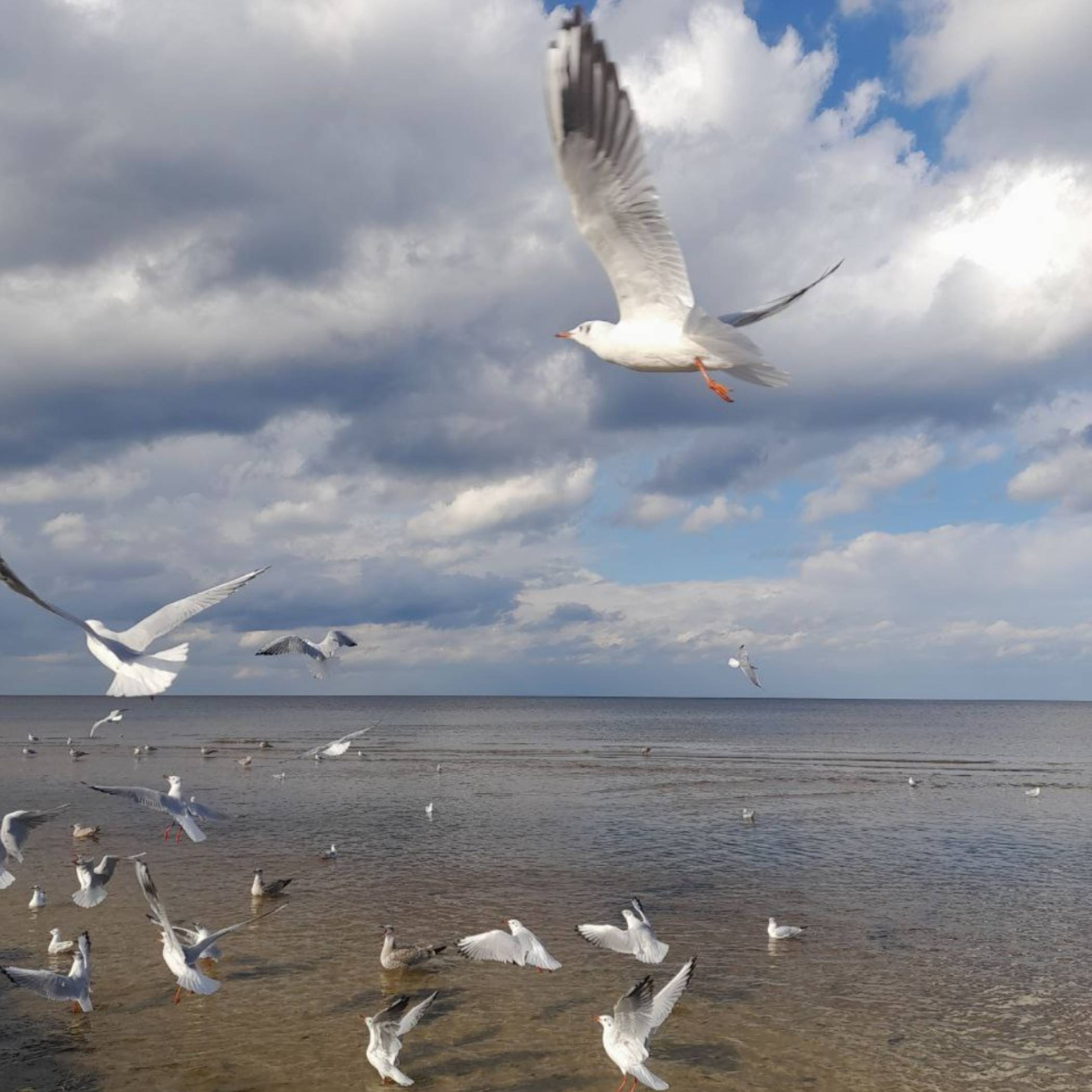 Олло